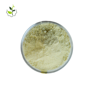 alpha lipoic acid